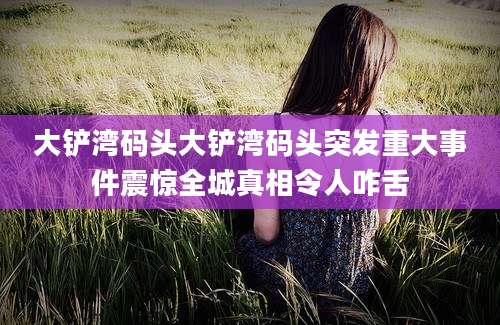 大铲湾码头大铲湾码头突发重大事件震惊全城真相令人咋舌