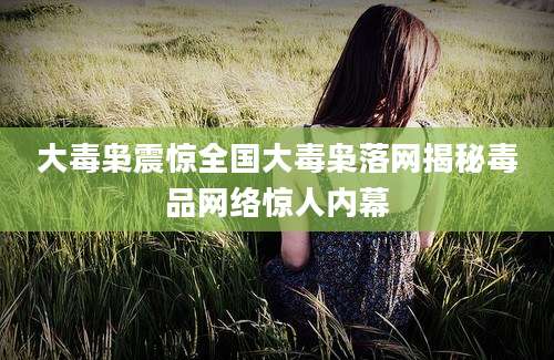 大毒枭震惊全国大毒枭落网揭秘毒品网络惊人内幕