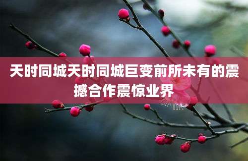 天时同城天时同城巨变前所未有的震撼合作震惊业界