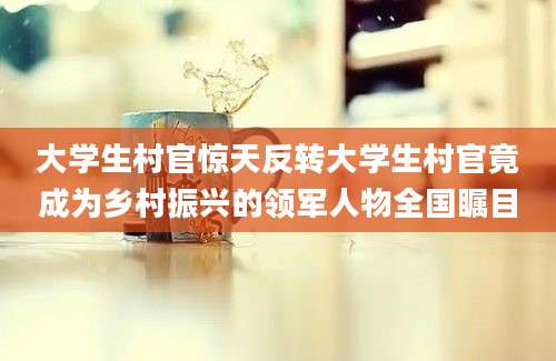 大学生村官惊天反转大学生村官竟成为乡村振兴的领军人物全国瞩目