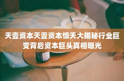 天壹资本天壹资本惊天大揭秘行业巨变背后资本巨头真相曝光