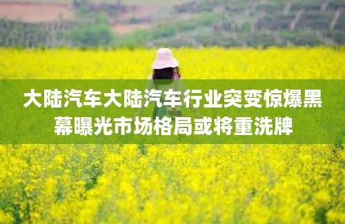大陆汽车大陆汽车行业突变惊爆黑幕曝光市场格局或将重洗牌