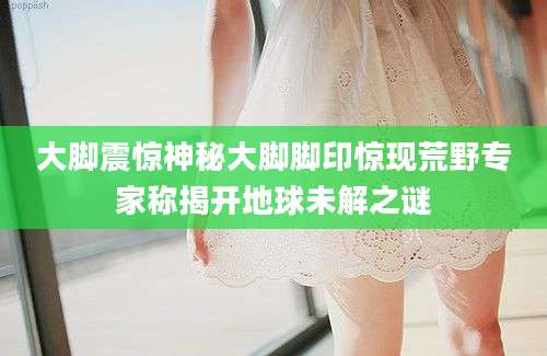 大脚震惊神秘大脚脚印惊现荒野专家称揭开地球未解之谜