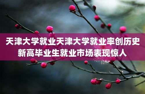 天津大学就业天津大学就业率创历史新高毕业生就业市场表现惊人