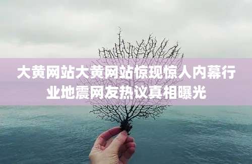 大黄网站大黄网站惊现惊人内幕行业地震网友热议真相曝光