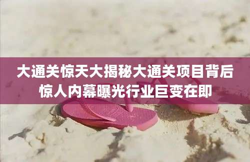 大通关惊天大揭秘大通关项目背后惊人内幕曝光行业巨变在即