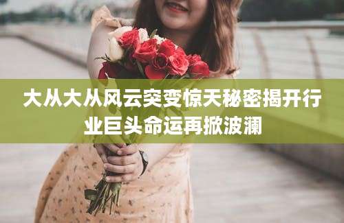 大从大从风云突变惊天秘密揭开行业巨头命运再掀波澜