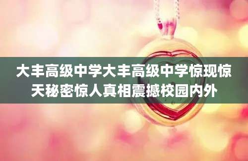 大丰高级中学大丰高级中学惊现惊天秘密惊人真相震撼校园内外
