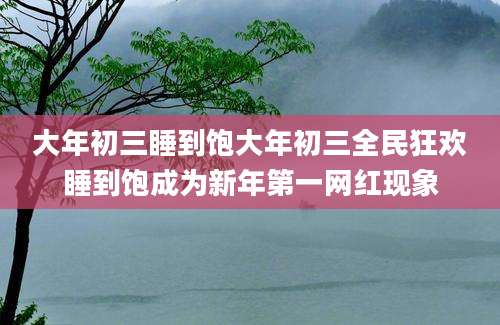 大年初三睡到饱大年初三全民狂欢睡到饱成为新年第一网红现象