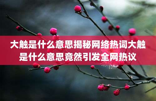 大触是什么意思揭秘网络热词大触是什么意思竟然引发全网热议