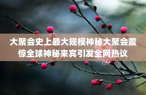 大聚会史上最大规模神秘大聚会震惊全球神秘来宾引发全网热议
