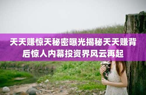 天天赚惊天秘密曝光揭秘天天赚背后惊人内幕投资界风云再起