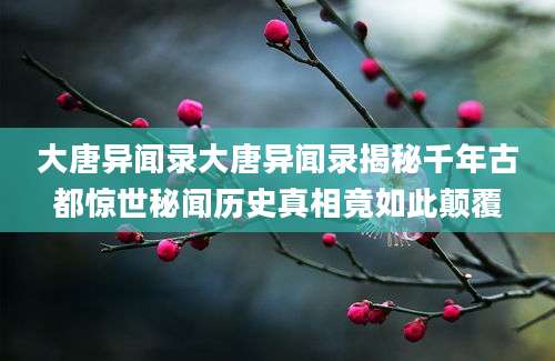 大唐异闻录大唐异闻录揭秘千年古都惊世秘闻历史真相竟如此颠覆