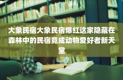 大象民宿大象民宿爆红这家隐藏在森林中的民宿竟成动物爱好者新天堂
