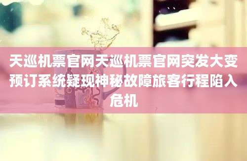 天巡机票官网天巡机票官网突发大变预订系统疑现神秘故障旅客行程陷入危机