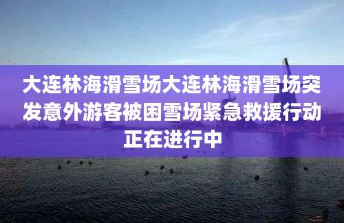 大连林海滑雪场大连林海滑雪场突发意外游客被困雪场紧急救援行动正在进行中