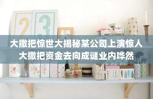 大撒把惊世大揭秘某公司上演惊人大撒把资金去向成谜业内哗然