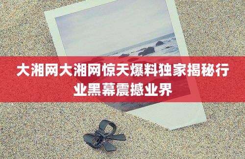 大湘网大湘网惊天爆料独家揭秘行业黑幕震撼业界