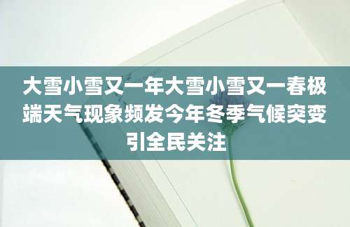 大雪小雪又一年大雪小雪又一春极端天气现象频发今年冬季气候突变引全民关注