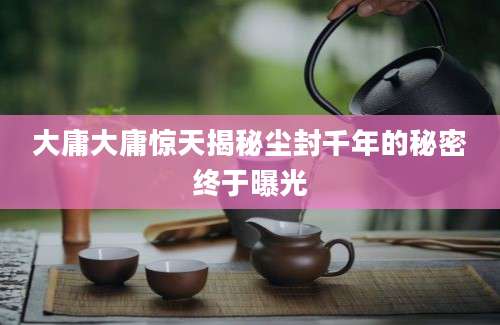 大庸大庸惊天揭秘尘封千年的秘密终于曝光