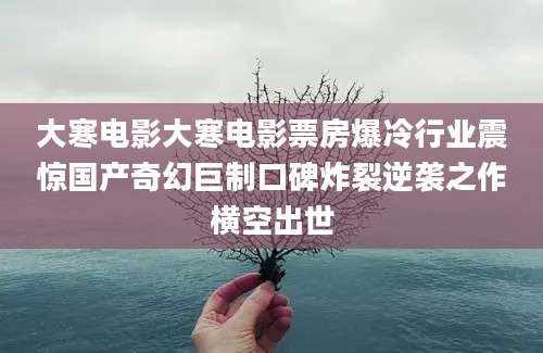 大寒电影大寒电影票房爆冷行业震惊国产奇幻巨制口碑炸裂逆袭之作横空出世
