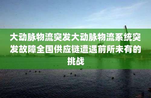 大动脉物流突发大动脉物流系统突发故障全国供应链遭遇前所未有的挑战