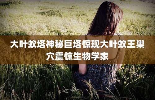 大叶蚁塔神秘巨塔惊现大叶蚁王巢穴震惊生物学家