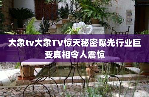 大象tv大象TV惊天秘密曝光行业巨变真相令人震惊