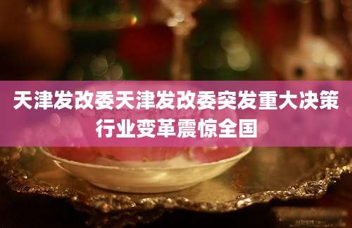 天津发改委天津发改委突发重大决策行业变革震惊全国