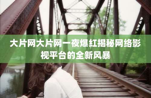 大片网大片网一夜爆红揭秘网络影视平台的全新风暴