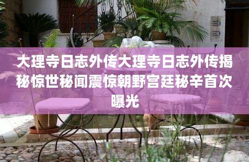 大理寺日志外传大理寺日志外传揭秘惊世秘闻震惊朝野宫廷秘辛首次曝光