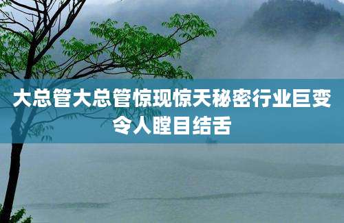 大总管大总管惊现惊天秘密行业巨变令人瞠目结舌