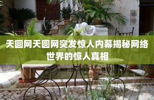 天圆网天圆网突发惊人内幕揭秘网络世界的惊人真相