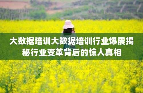 大数据培训大数据培训行业爆震揭秘行业变革背后的惊人真相