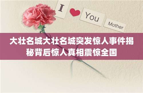 大壮名城大壮名城突发惊人事件揭秘背后惊人真相震惊全国