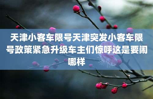 天津小客车限号天津突发小客车限号政策紧急升级车主们惊呼这是要闹哪样
