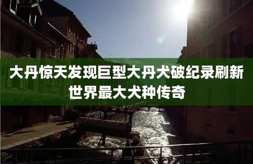 大丹惊天发现巨型大丹犬破纪录刷新世界最大犬种传奇