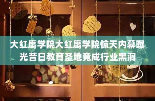 大红鹰学院大红鹰学院惊天内幕曝光昔日教育圣地竟成行业黑洞