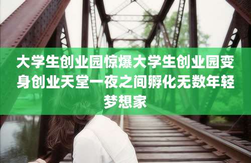 大学生创业园惊爆大学生创业园变身创业天堂一夜之间孵化无数年轻梦想家