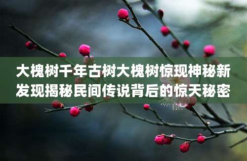大槐树千年古树大槐树惊现神秘新发现揭秘民间传说背后的惊天秘密