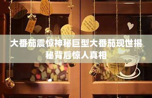 大番茄震惊神秘巨型大番茄现世揭秘背后惊人真相
