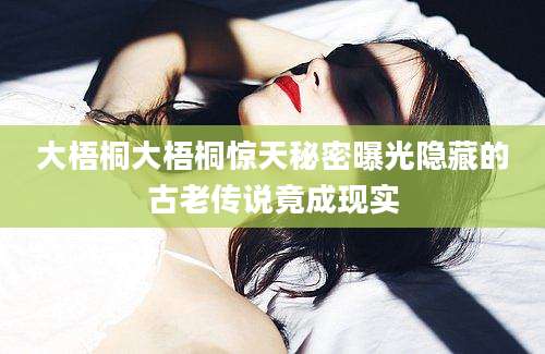 大梧桐大梧桐惊天秘密曝光隐藏的古老传说竟成现实