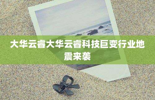 大华云睿大华云睿科技巨变行业地震来袭