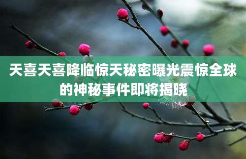 天喜天喜降临惊天秘密曝光震惊全球的神秘事件即将揭晓
