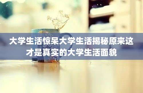 大学生活惊呆大学生活揭秘原来这才是真实的大学生活面貌