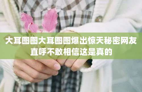 大耳图图大耳图图爆出惊天秘密网友直呼不敢相信这是真的