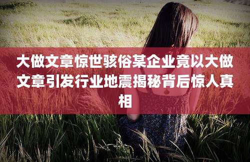 大做文章惊世骇俗某企业竟以大做文章引发行业地震揭秘背后惊人真相