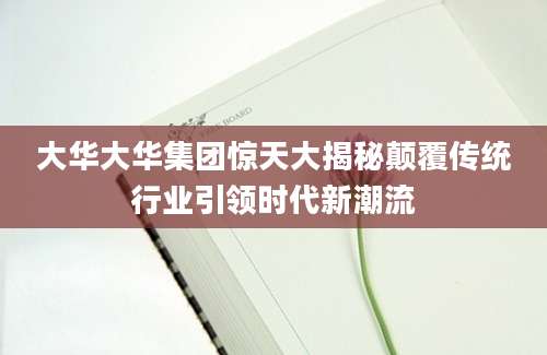 大华大华集团惊天大揭秘颠覆传统行业引领时代新潮流