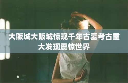 大阪城大阪城惊现千年古墓考古重大发现震惊世界