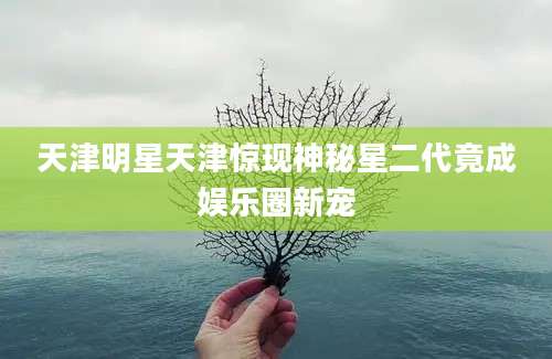 天津明星天津惊现神秘星二代竟成娱乐圈新宠